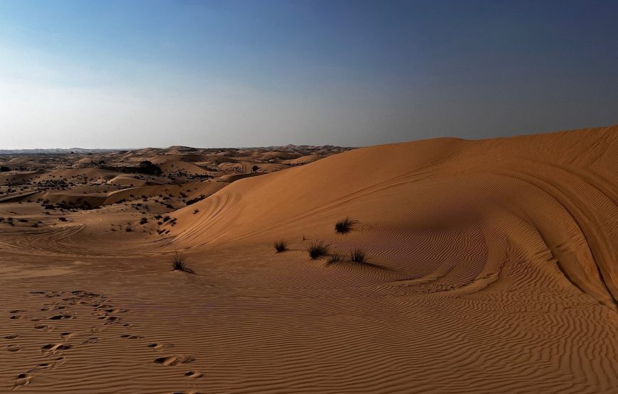 Evening Desert Safari Abu Dhabi