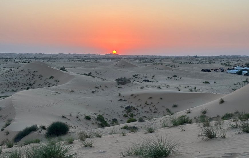 Evening Desert Safari Abu Dhabi